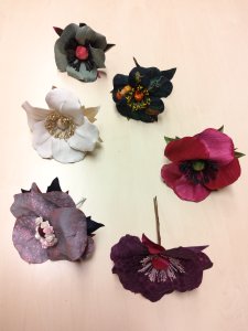 Photo de la formation