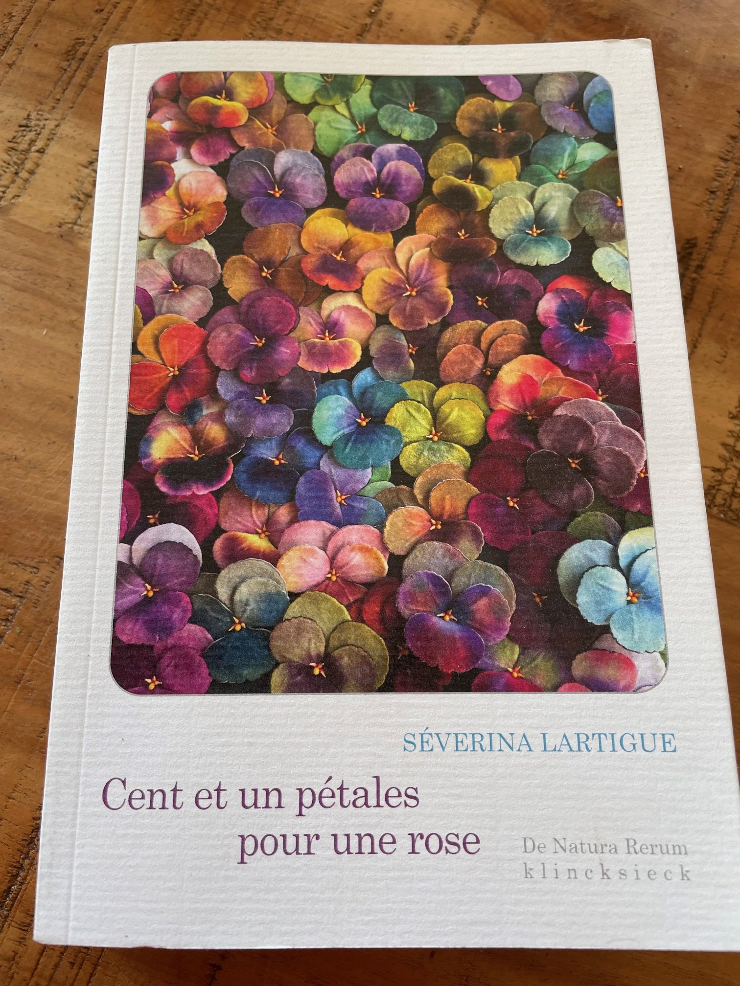 Cent et un pétales pour une rose